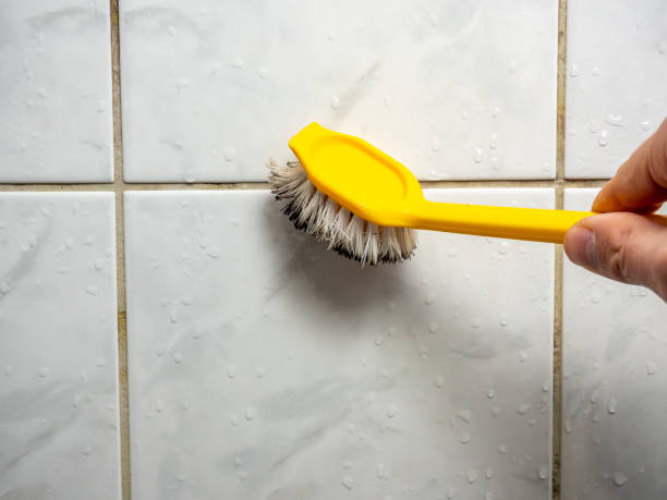 Home Mold Removal in Scotland Neck, NC